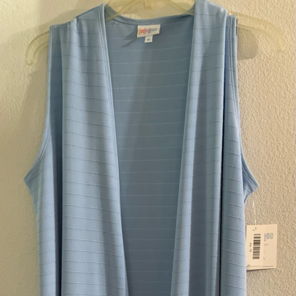 Blue Duster - Picture 2 of 8